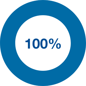 pie chart showing 100 percent