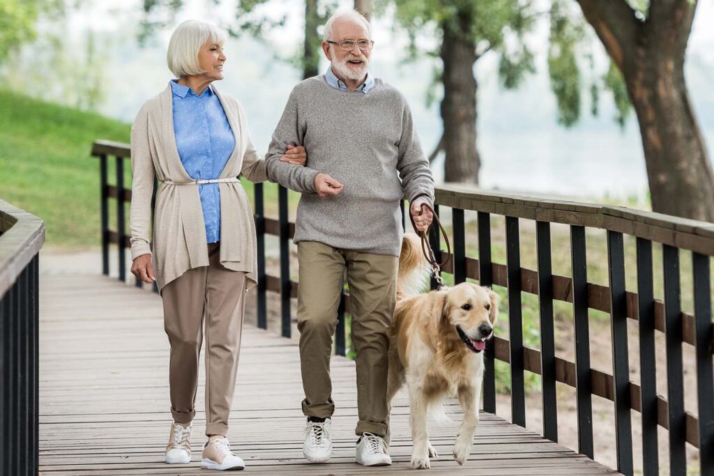 elderly couple walking their dog