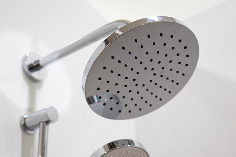 Safe Step walk-in shower shower head